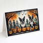 Caroline's Treasures DAC2023GCA7P Boston Terrier Spooky Halloween Greeting Cards and Envelopes Pack of 8 Blank Cards with Envelopes Whimsical A7 Size 5x7 Blank Greeting Cards