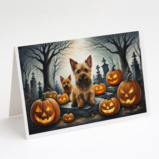 Caroline's Treasures DAC2049GCA7P Norwich Terrier Spooky Halloween Greeting Cards and Envelopes Pack of 8 Blank Cards with Envelopes Whimsical A7 Size 5x7 Blank Greeting Cards