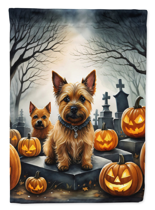 Caroline's Treasures DAC2049GF Norwich Terrier Spooky Halloween Garden Flag Mailbox Flag Decorative Yard Flag Banner Outside Patio Artwork Yard Flower Beds, Garden Size, Multicolor