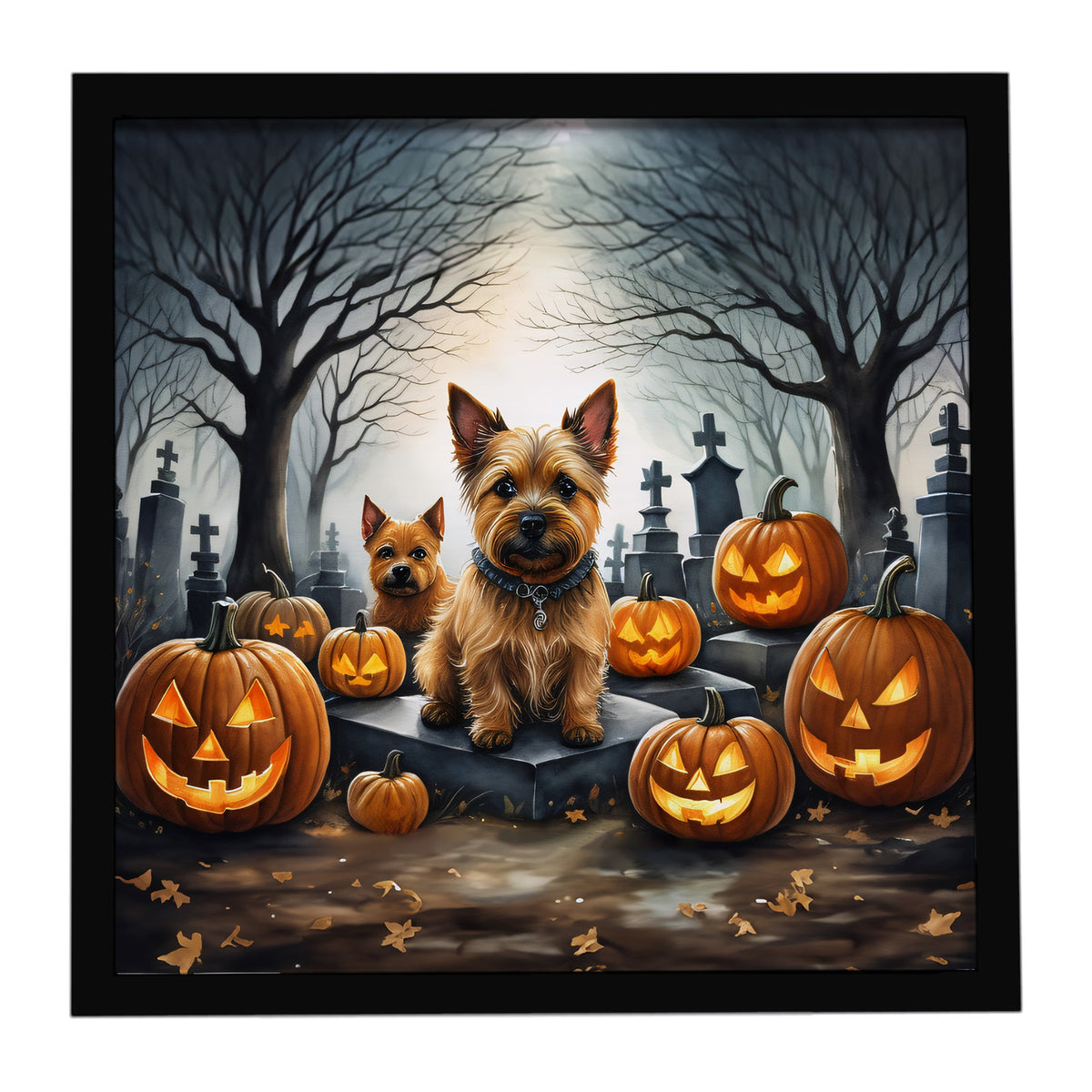Caroline's Treasures Norwich Terrier Dogs Framed Metal Wall Art 8 x 8 Inch