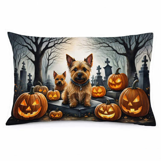 Caroline's Treasures DAC2049PILLOWCASE Norwich Terrier Spooky Halloween Fabric Standard Pillowcase Lightweight Super Soft Easy Care Decorative Artwork Pillowcase, Standard