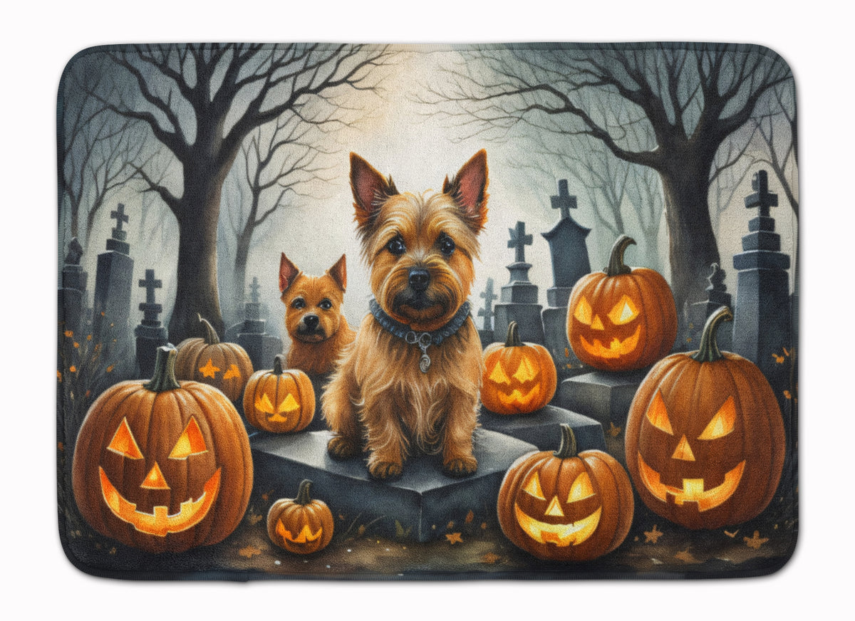 Caroline's Treasures Norwich Terrier Dogs Memory Foam Mat 19x27