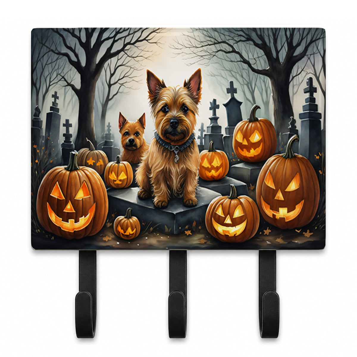 Caroline's Treasures Norwich Terrier Dogs Ceramic Triple Wall Hook