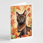 Caroline's Treasures Havana Brown Cat in Fall Leaves Greeting Cards Pack of 8 Blank Cards with Envelopes Whimsical A7