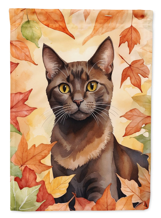 Caroline's Treasures Havana Brown Cat in Fall Leaves Garden Flag Mailbox Flag Decorative Yard Flag Banner Outside Patio