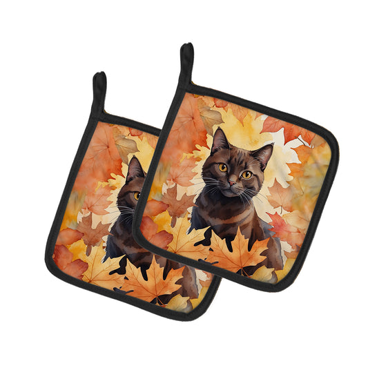 Caroline's Treasures York Chocolate Cat in Fall Leaves Pair of Pot Holders Kitchen Heat Resistant Pot Holders Sets Oven